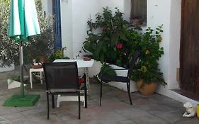 casa patricia